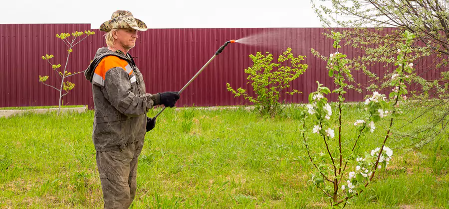 Flea and Tick Spray for Yard in Alpharetta