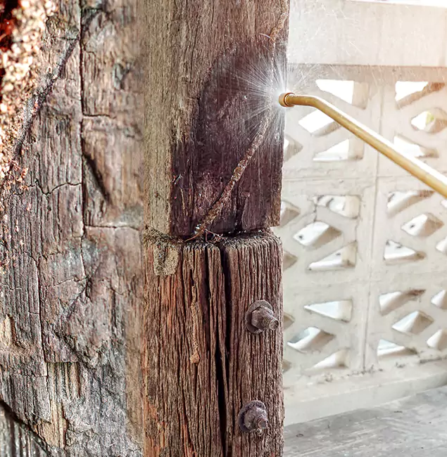 Why Choose Alpharetta Pest Control Pro for Attic Termite Treatment in Alpharetta, GA?