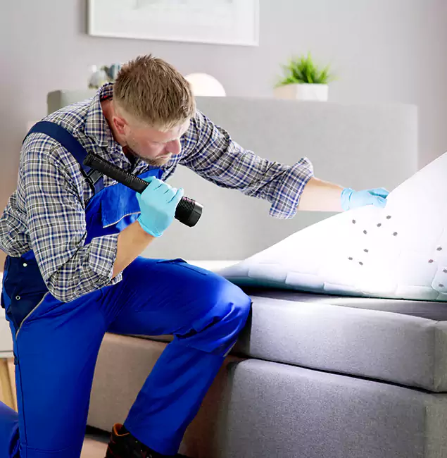 Why Choose Alpharetta Pest Control Pro For Bed Bug Heat Treatment in Alpharetta, GA?