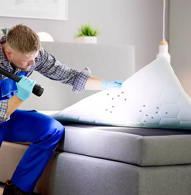 Why Choose Alpharetta Pest Control Pro in Alpharetta, GA?