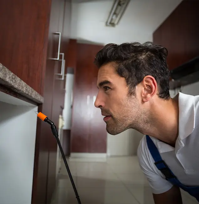 Why Choose Alpharetta Pest Control Pro for Bed Bug Removal Cost in Alpharetta, GA?
