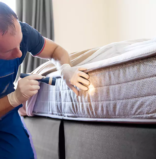 Why Choose Alpharetta Pest Control Pro for Bed Bug Services in Alpharetta, GA?