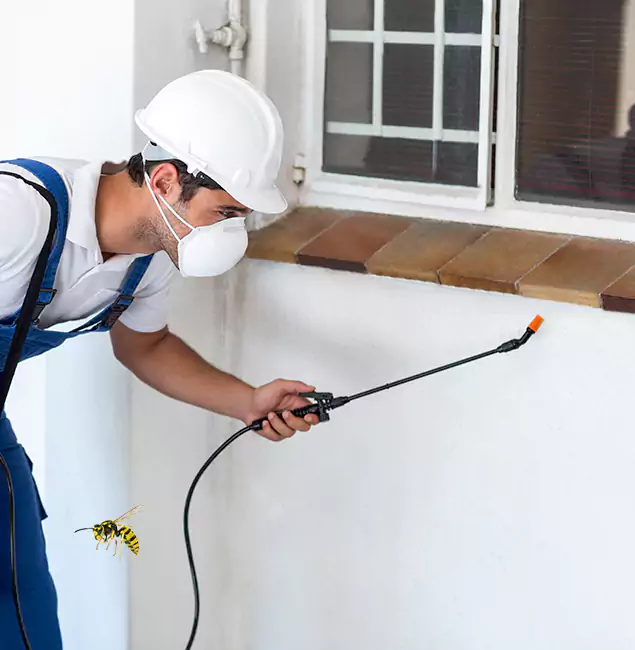Why Alpharetta Property Owners Choose Alpharetta Pest Control Pro for Bee Nest Removal?