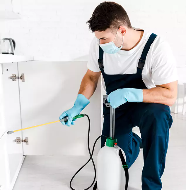 Why Choose Alpharetta Pest Control Pro for Emergency Pest Control in Alpharetta?