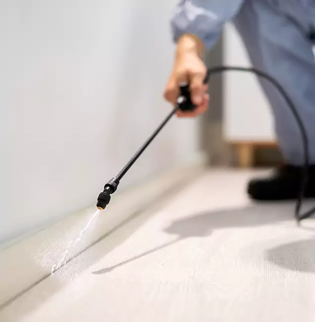 Why Choose Alpharetta Pest Control Pro for Termite Treatment in Alpharetta, GA?