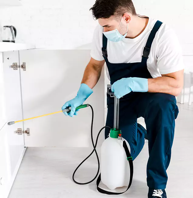 Why Alpharetta, GA Homeowners Trust Us for German Roach Control?