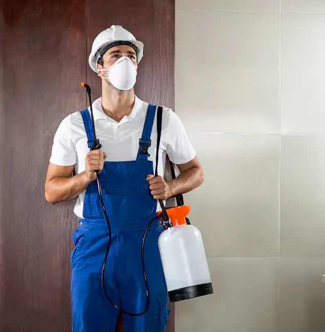 Why Choose Us for Heat Treatment for Termites in Alpharetta, GA?