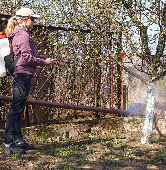 Why Alpharetta Homeowners Choose Alpharetta Pest Control Pro for Mosquito Abatement?