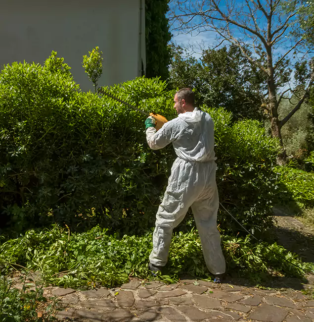Why Alpharetta Pest Control Pro Leads Mosquito Control in Alpharetta, GA?