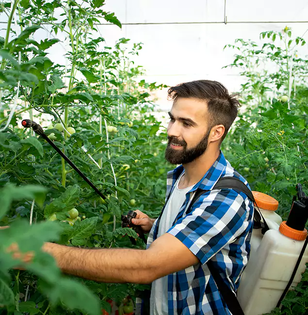 Why Alpharetta Homeowners Choose Alpharetta Pest Control Pro for Mosquito Spraying?