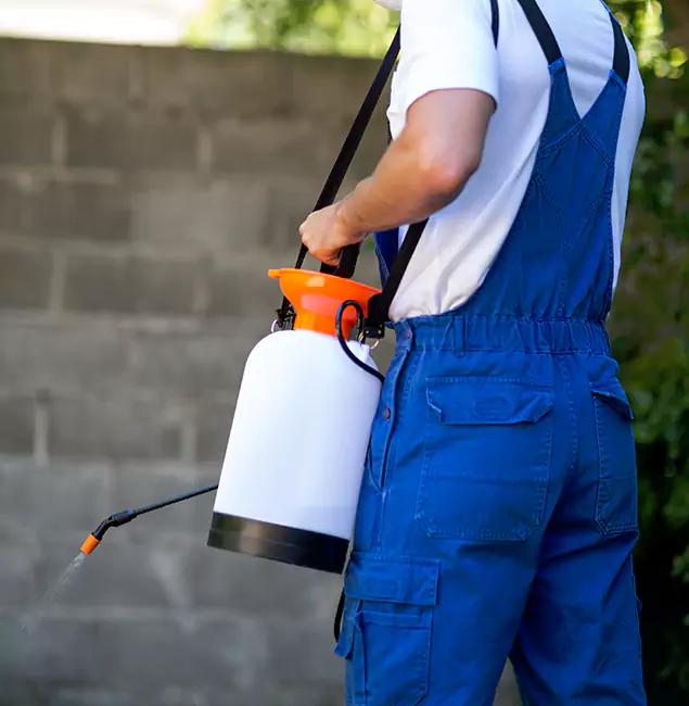 Why Alpharetta Pest Control Pro Delivers the Best Mosquito Control in Alpharetta, GA?
