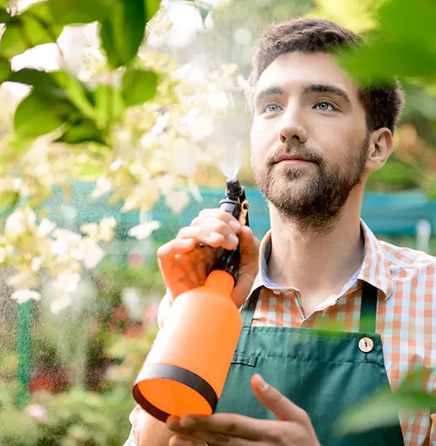 Why Alpharetta Homeowners Call Alpharetta Pest Control Pro for Mosquitoes in House?