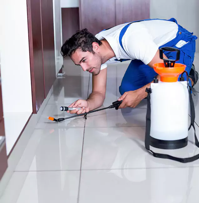 Why Alpharetta Pest Control Pro Is the Proven Choice in Alpharetta, GA?
