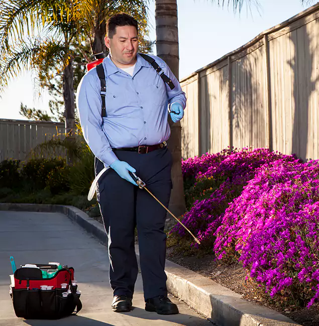 Why Choose Alpharetta Pest Control Pro in Alpharetta, GA?