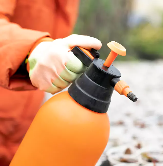 Why Choose Alpharetta Pest Control Pro for Orange Termite Treatment in Alpharetta, GA?