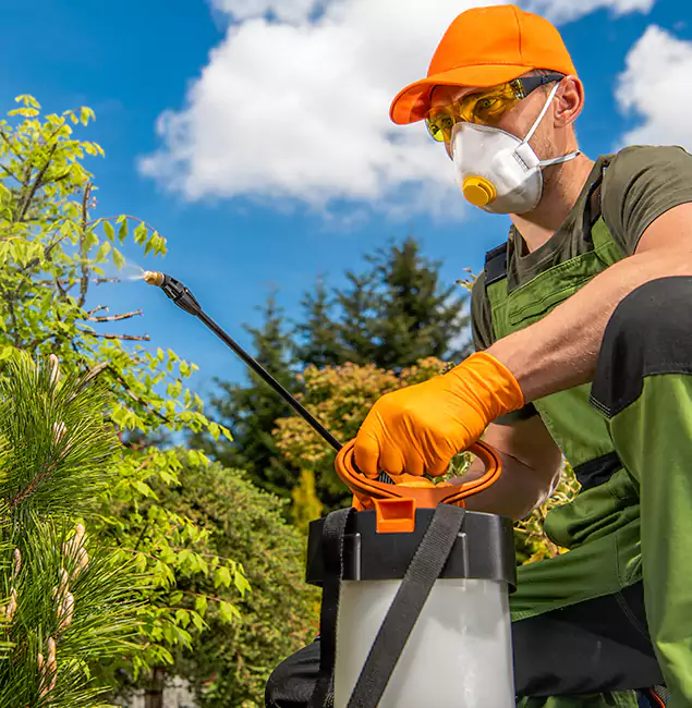 Why Choose Alpharetta Pest Control Pro for Outdoor Pest Control in Alpharetta, GA?