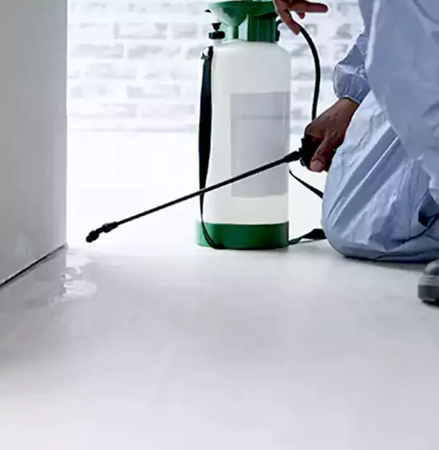 Why Choose Alpharetta Pest Control Pro for Rat Exterminator in Alpharetta, GA?