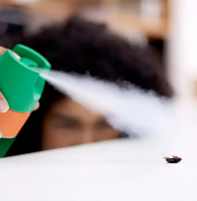 Why Alpharetta, GA Homeowners Choose Alpharetta Pest Control Pro for Roach Pest Control?
