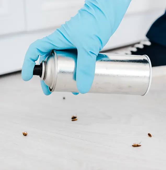 Why Choose Alpharetta Pest Control Pro for Safe Bed Bug Treatment in Alpharetta, GA?