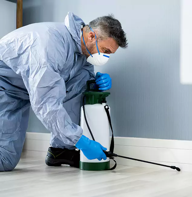Why Choose Alpharetta Pest Control Pro for Subterranean Termites Treatment in Alpharetta, GA?