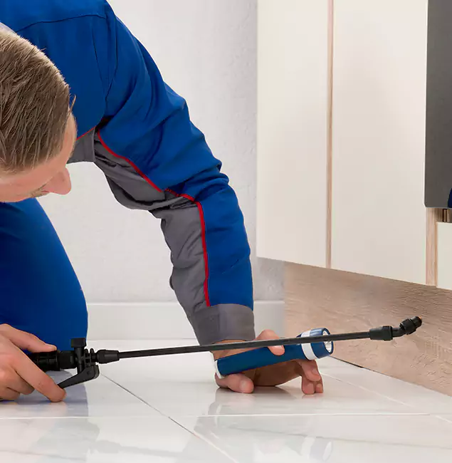 Why Alpharetta Residents Choose Alpharetta Pest Control Pro to Get Rid of Sugar Ants?