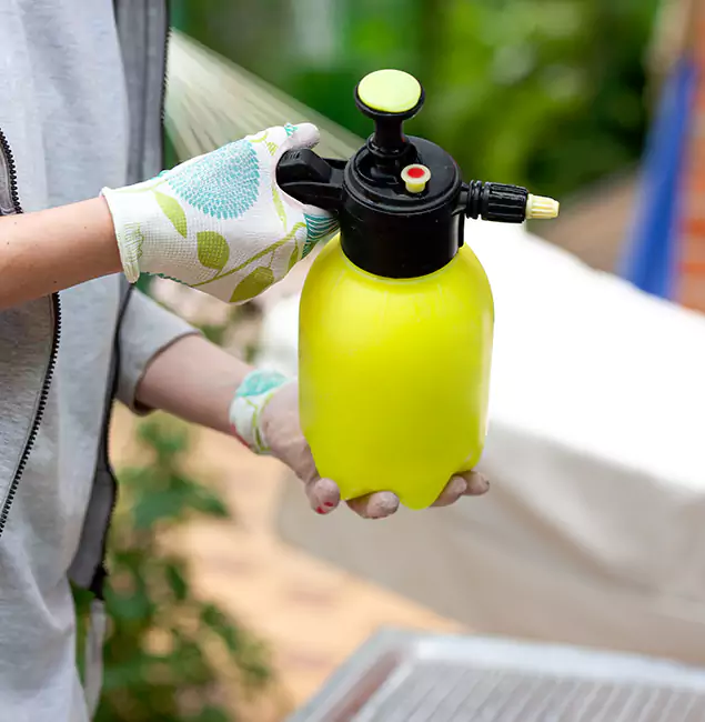 Why Choose Us: Alpharetta Pest Control Pro Termite Spraying Experts in Alpharetta, GA?