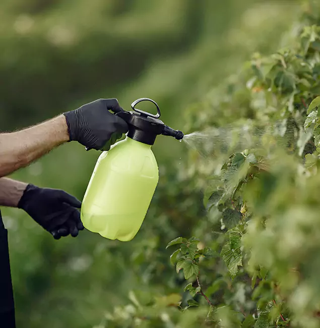 Why Alpharetta Homeowners Choose Alpharetta Pest Control Pro for Yard Tick Treatment?