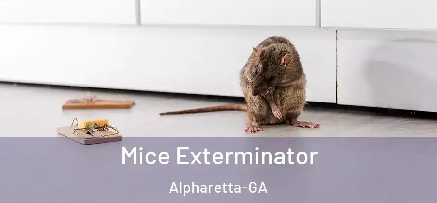 Mice Exterminator Alpharetta-GA