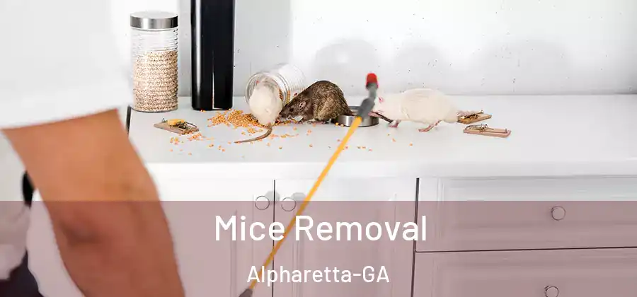 Mice Removal Alpharetta-GA