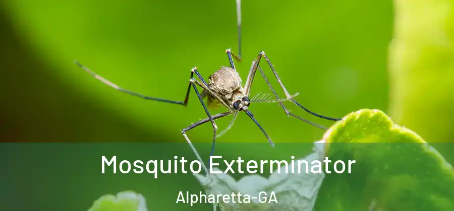Mosquito Exterminator Alpharetta-GA