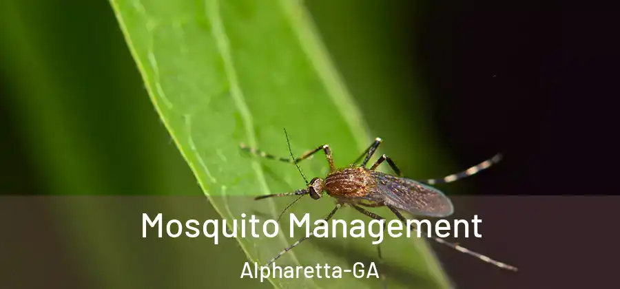 Mosquito Management Alpharetta-GA