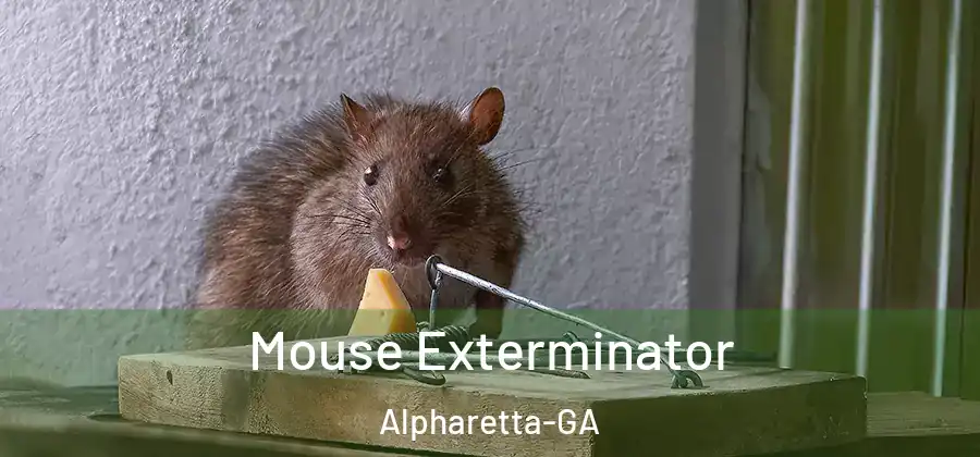 Mouse Exterminator Alpharetta-GA