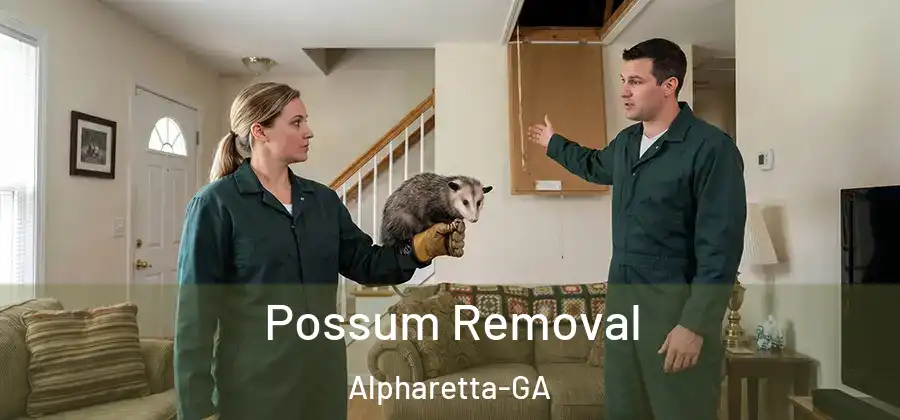 Possum Removal Alpharetta-GA