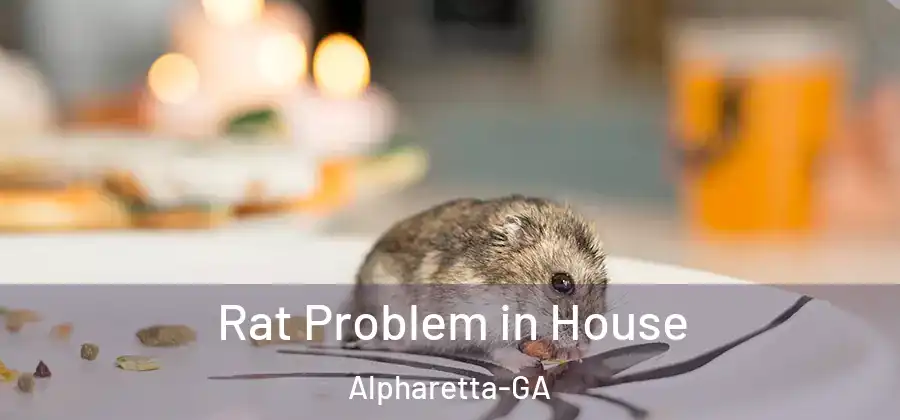 Rat Problem in House Alpharetta-GA