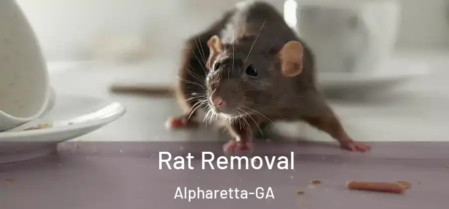 Rat Removal Alpharetta-GA