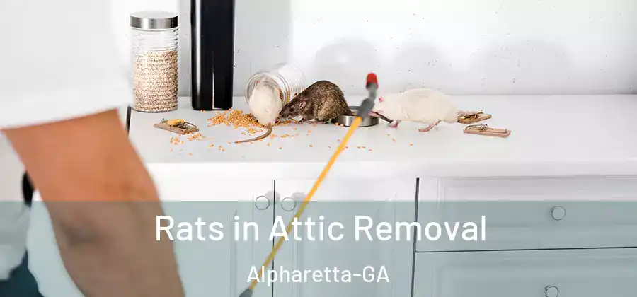  Rats in Attic Removal Alpharetta-GA