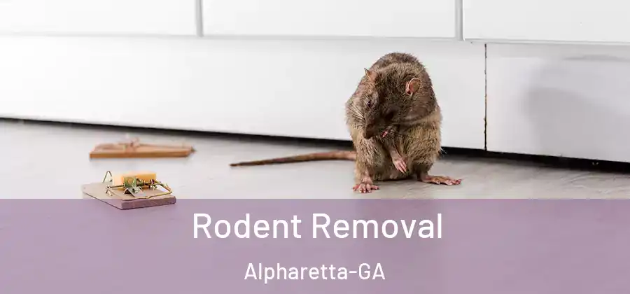 Rodent Removal Alpharetta-GA
