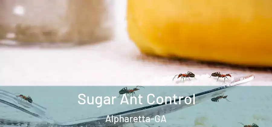 Sugar Ant Control Alpharetta-GA