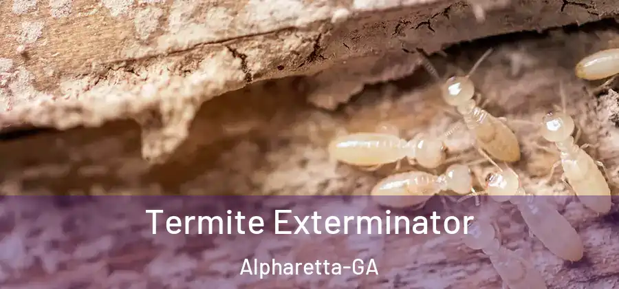 Termite Exterminator Alpharetta-GA