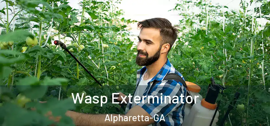 Wasp Exterminator Alpharetta-GA
