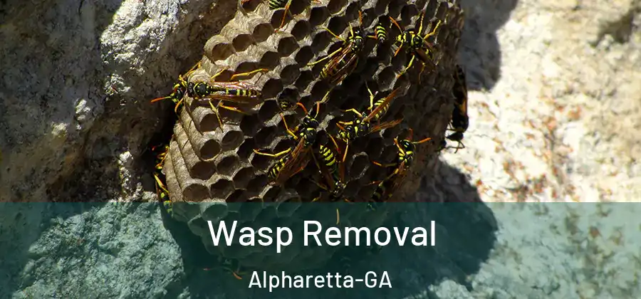 Wasp Removal Alpharetta-GA