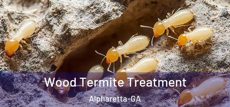 Wood Termite Treatment Alpharetta-GA