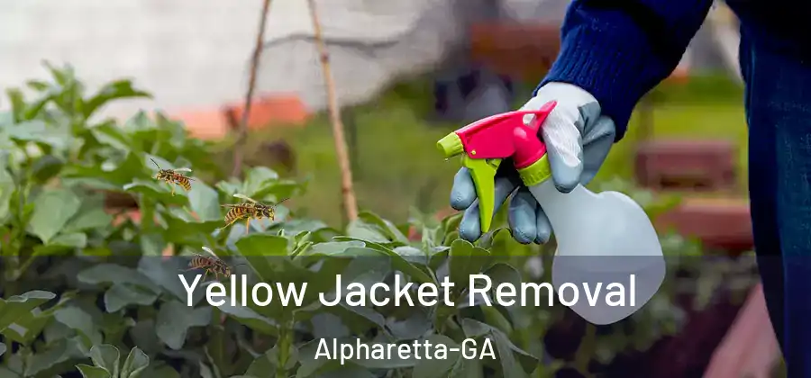 Yellow Jacket Removal Alpharetta-GA